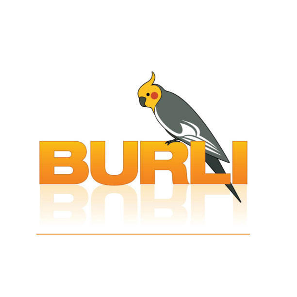 Burli Software Inc.